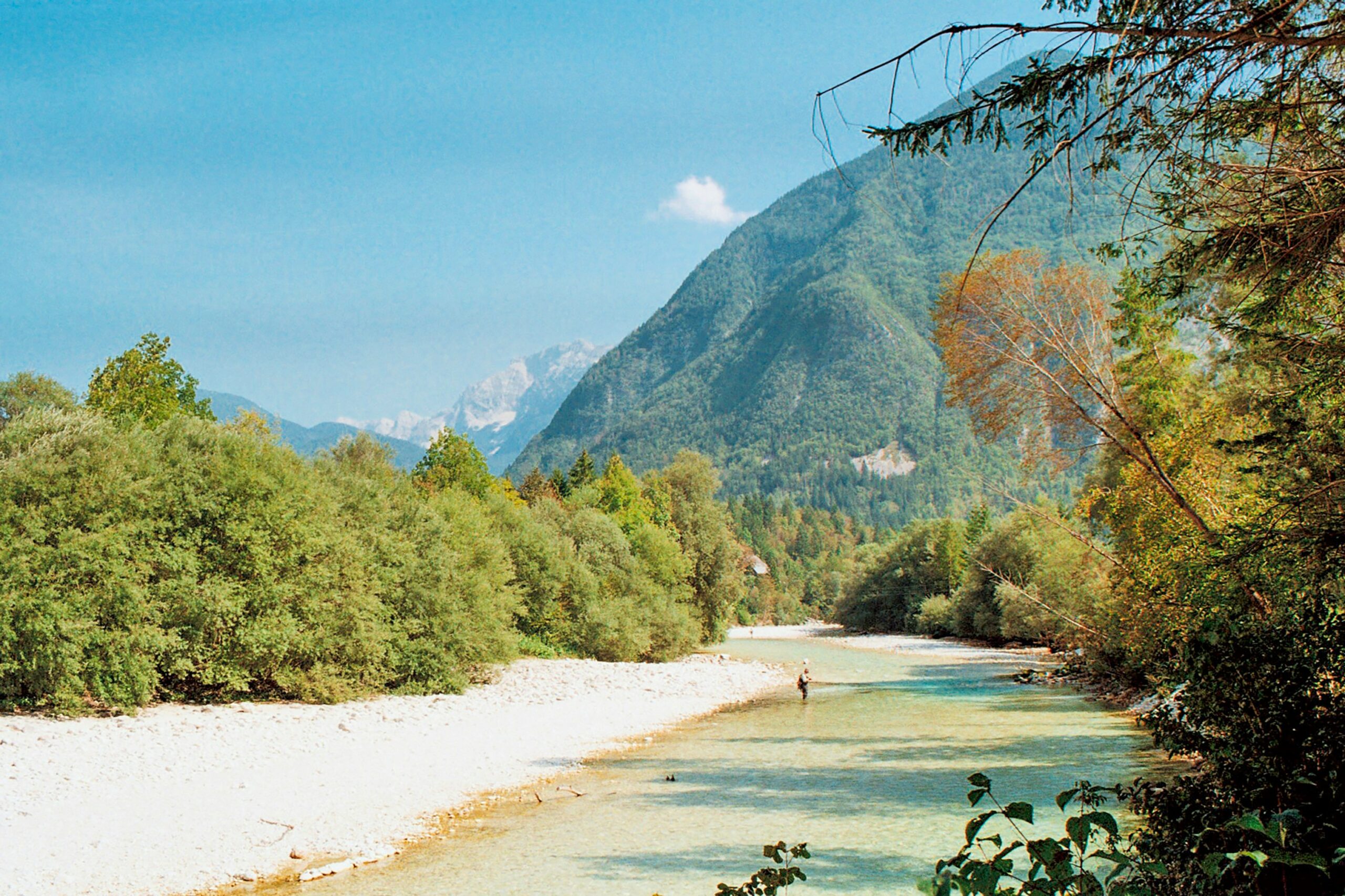 Bike, Wine & Prosciutto